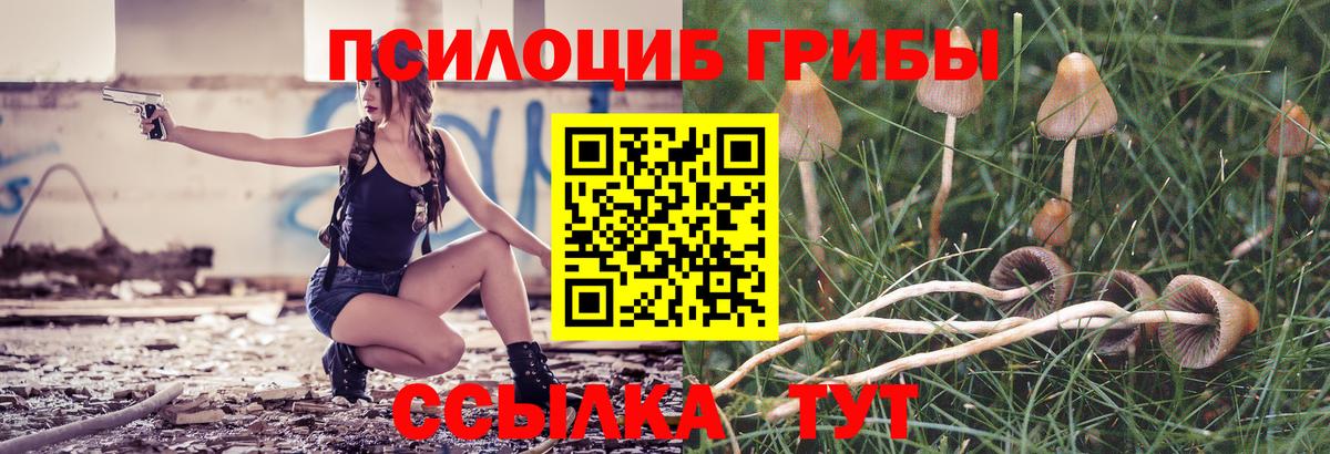 Галлюциногенные грибы GOLDEN TEACHER  закладки  Урюпинск  Вход с VPN  Псилоцибиновые грибы мухоморы 
